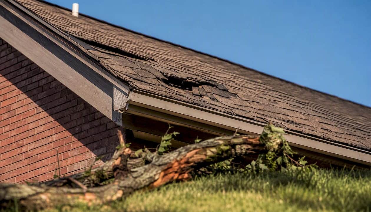 Tree branch damage on roof shingles