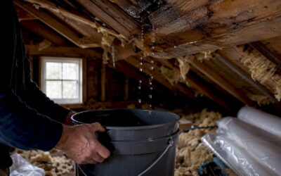 Roof Leak Emergency: What Homeowners Must Do Now