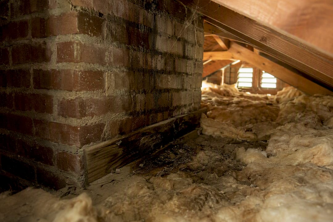 Damp attic insulation and stained chimney sheathing