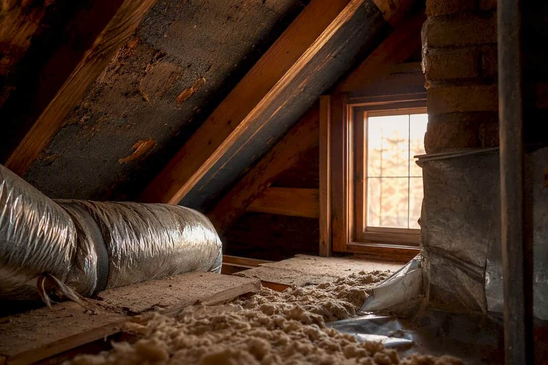 Attic roof underlayment and ventilation close-up