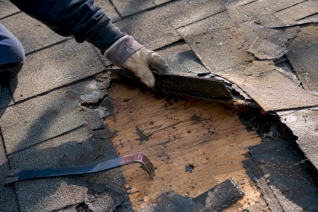 Worker inspecting exposed roof decking