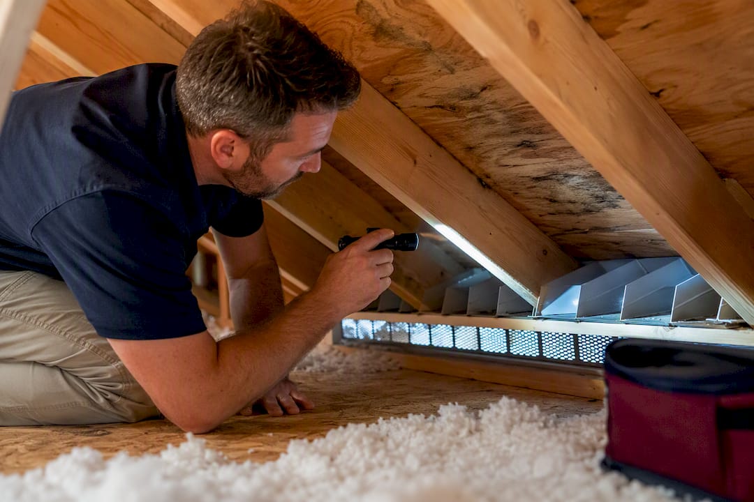 Inspector checking attic baffle and soffit vent