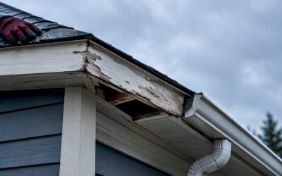 Homeowners: 8 Contractor Questions for Soffit and Fascia Damage